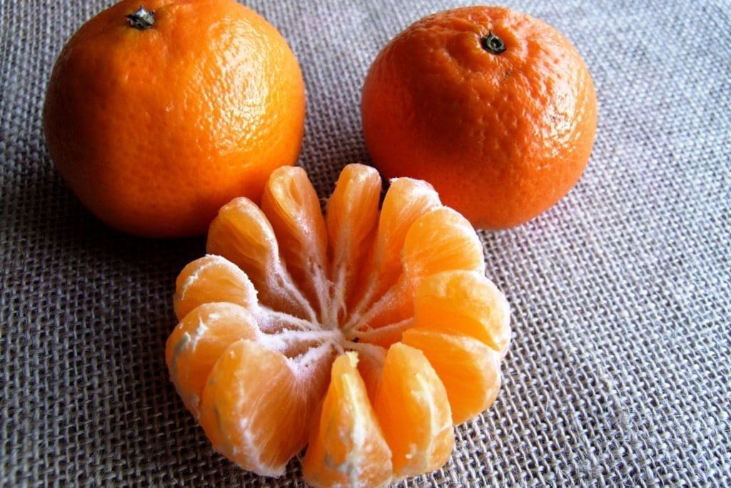 Orange pieces